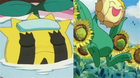 Did Ash Ever Use An Evolution Stone in the anime .